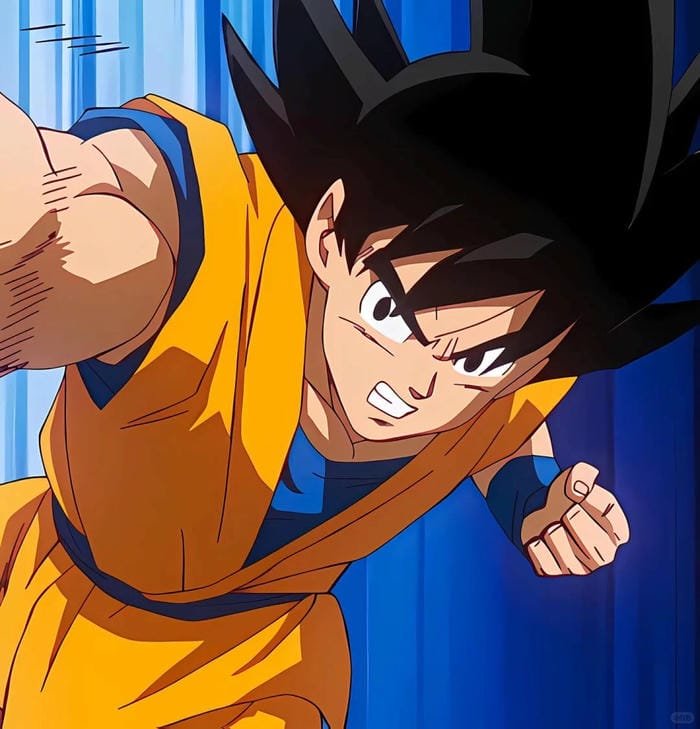 goku (13) goku (13)