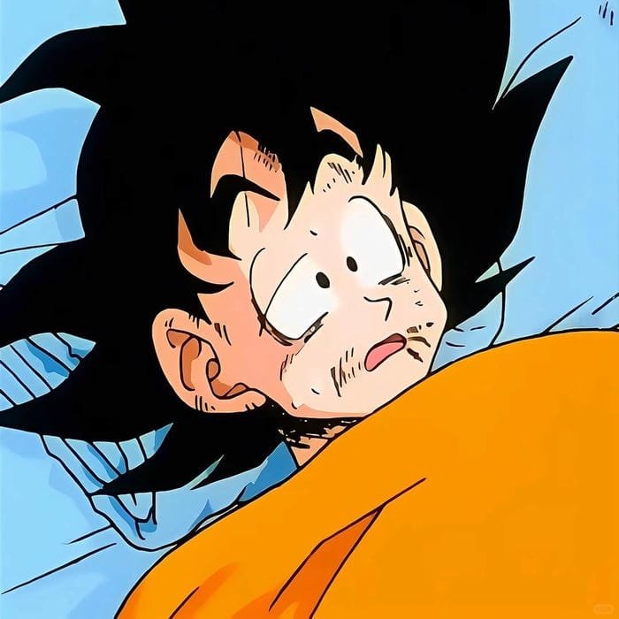 goku (27) goku (27)