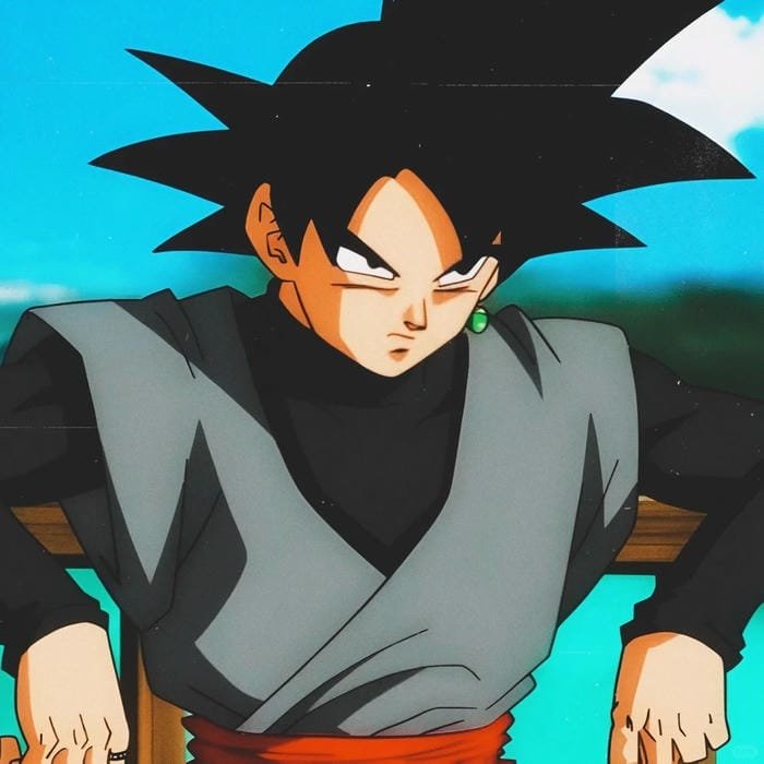 goku (8) goku (8)