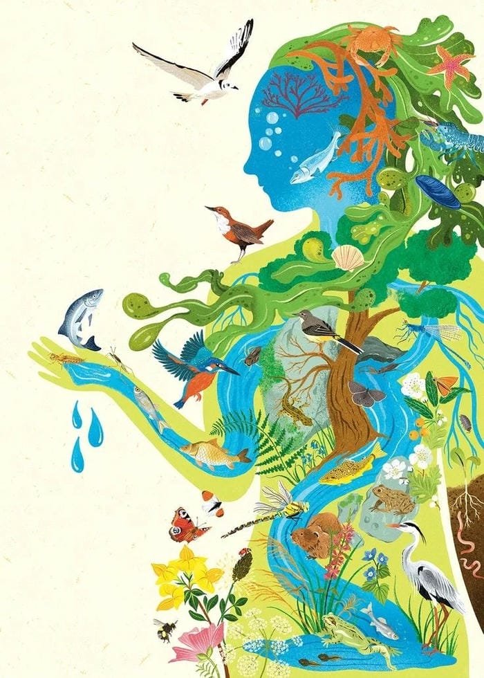 hình ảnh bảo vệ môi trường (18)