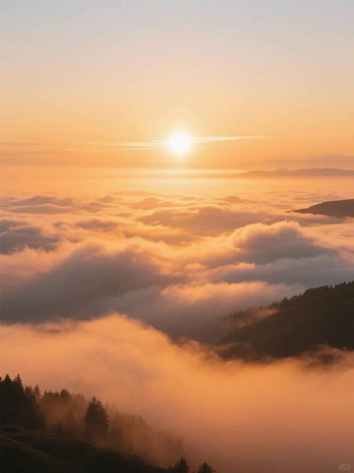 hình ảnh bình minh​ (17)