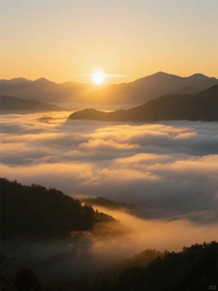 hình ảnh bình minh​ (20)