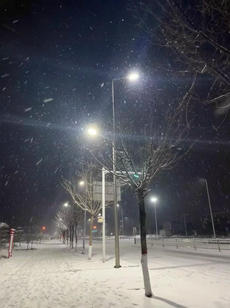 hình ảnh chill đường phố (1)