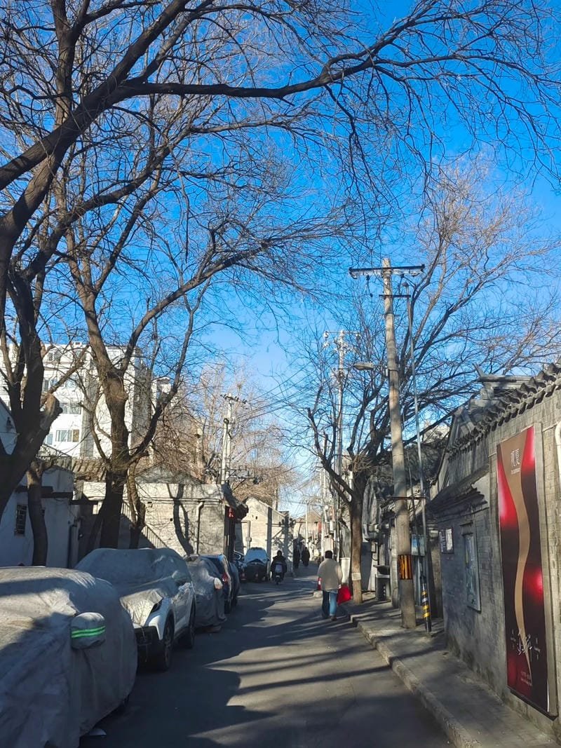 hình ảnh chill đường phố (14)