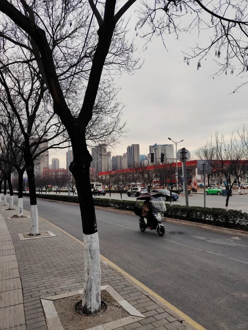 hình ảnh chill đường phố (2)