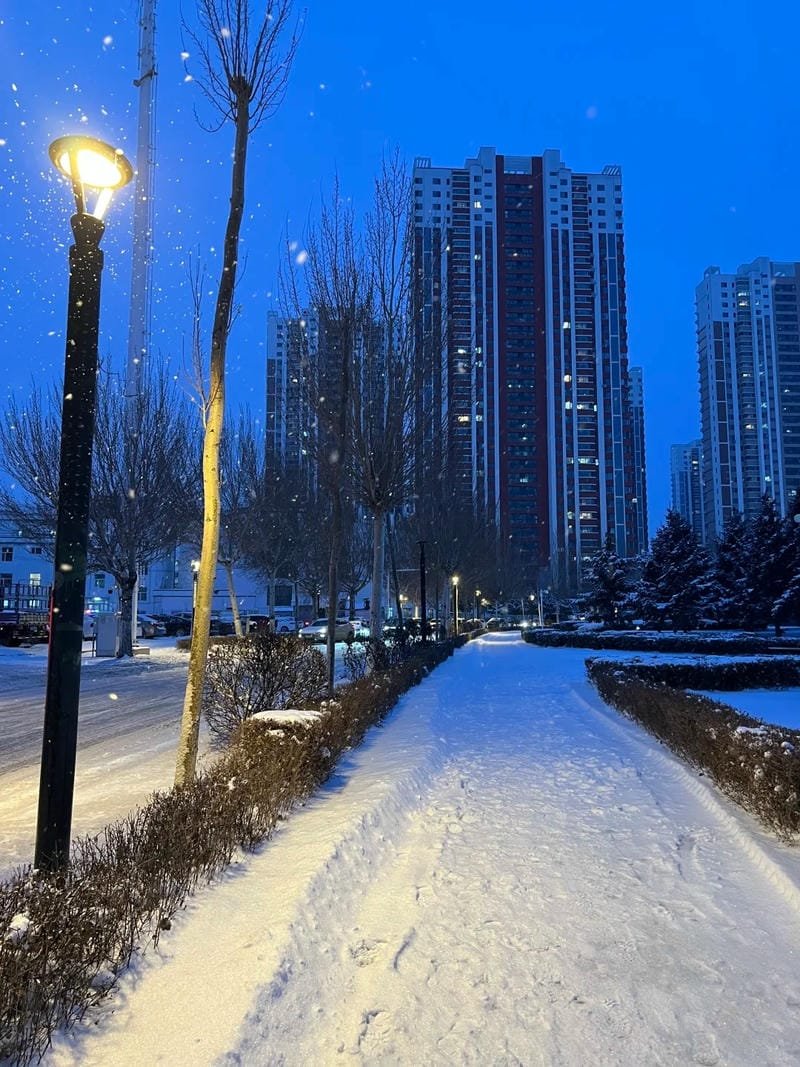 hình ảnh chill đường phố (22)