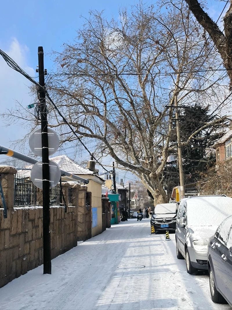 hình ảnh chill đường phố (24)