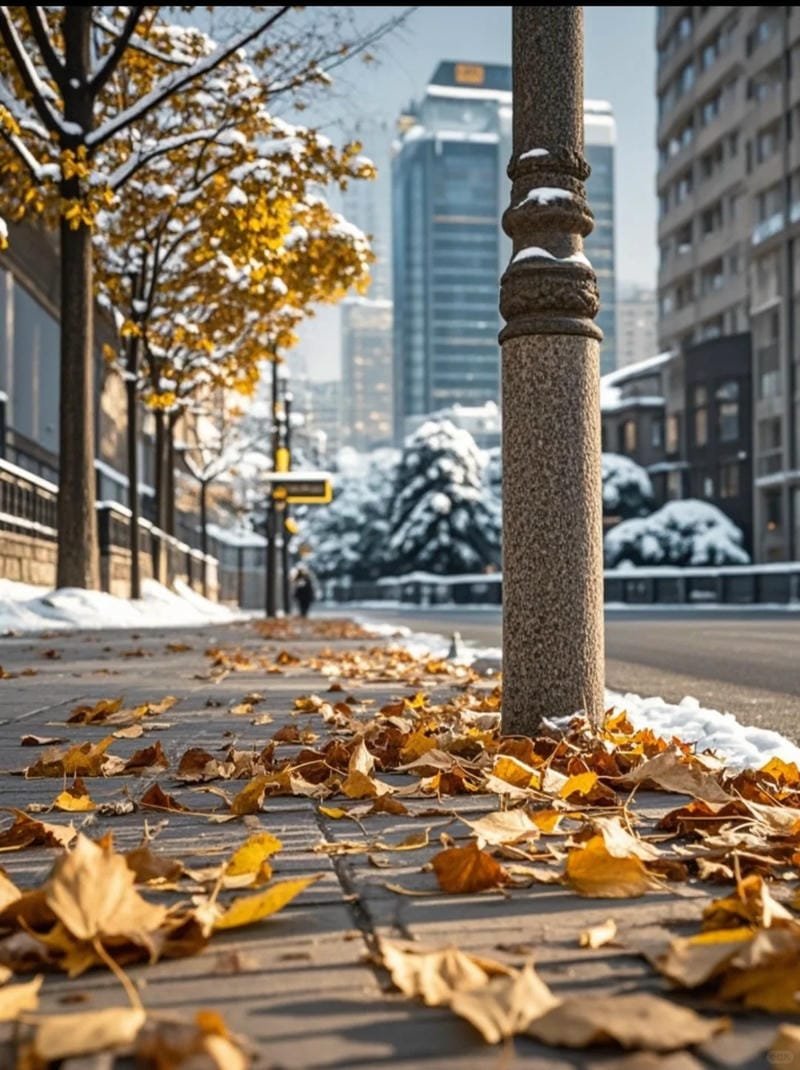 hình ảnh chill đường phố (29)