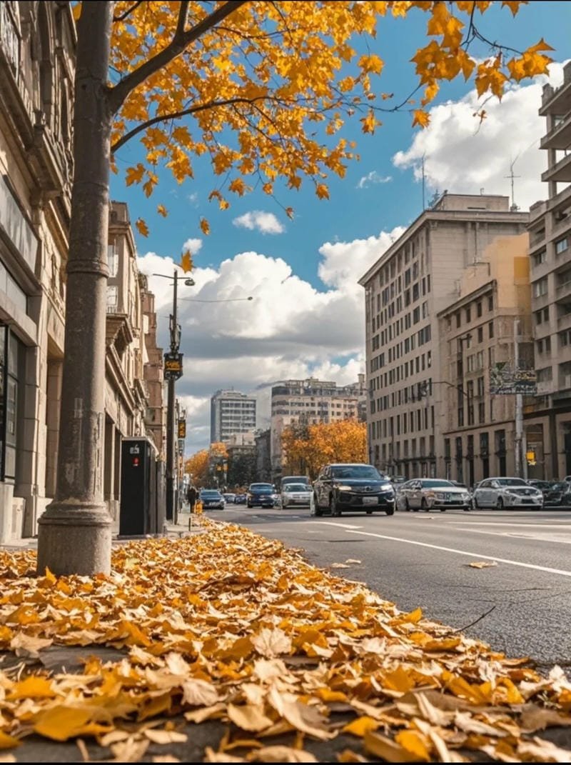 hình ảnh chill đường phố (34)