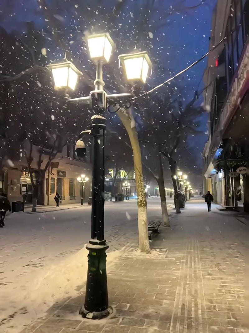 hình ảnh chill đường phố (40)