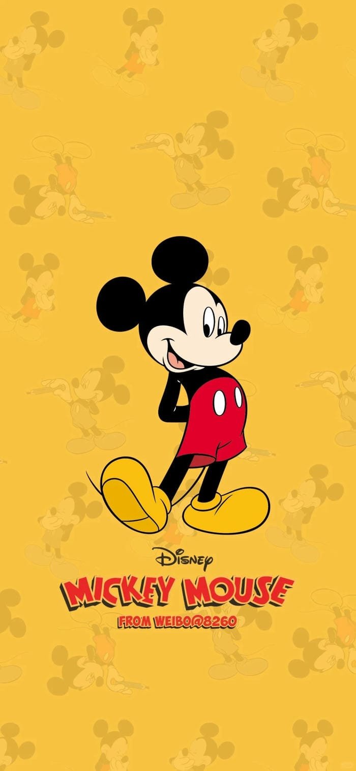 hình ảnh mickey (25)