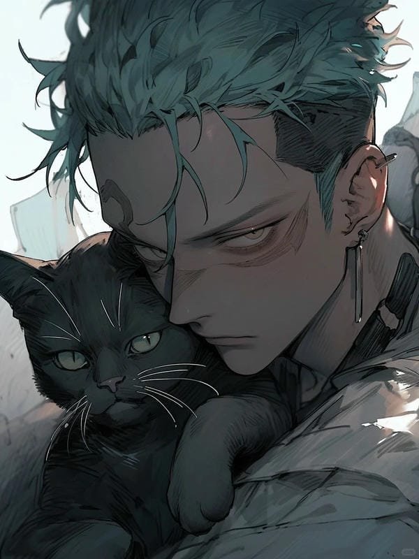 hình ảnh zoro hình ảnh zoro