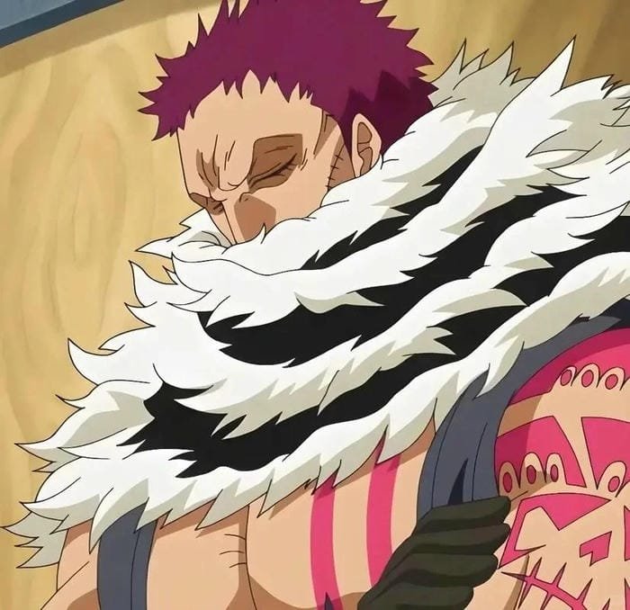 katakuri (10) katakuri (10)