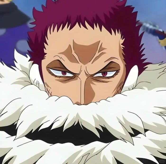 katakuri (11) katakuri (11)