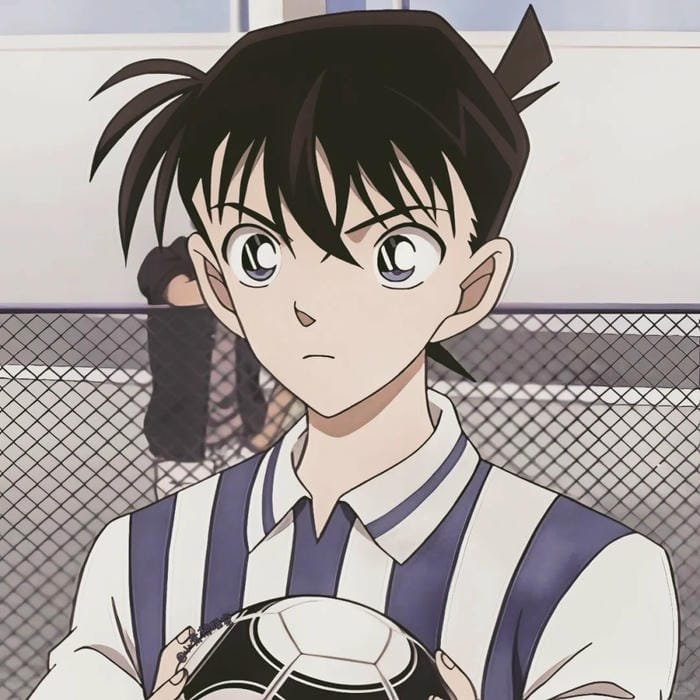 kudo shinichi (12)