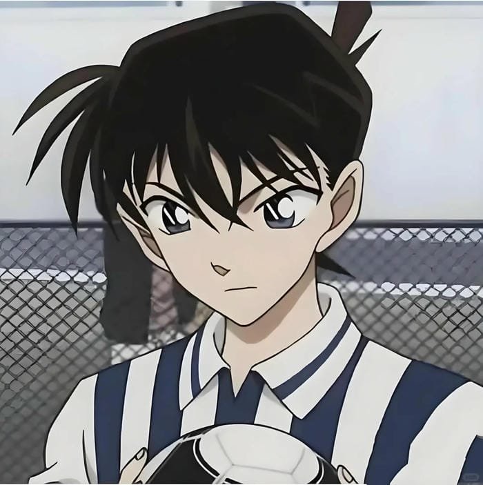 kudo shinichi (14)