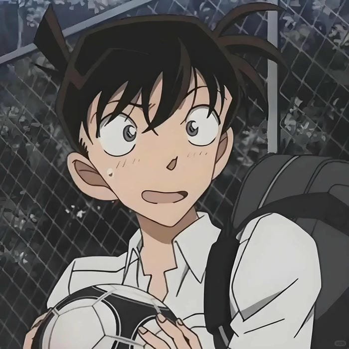 kudo shinichi (15)