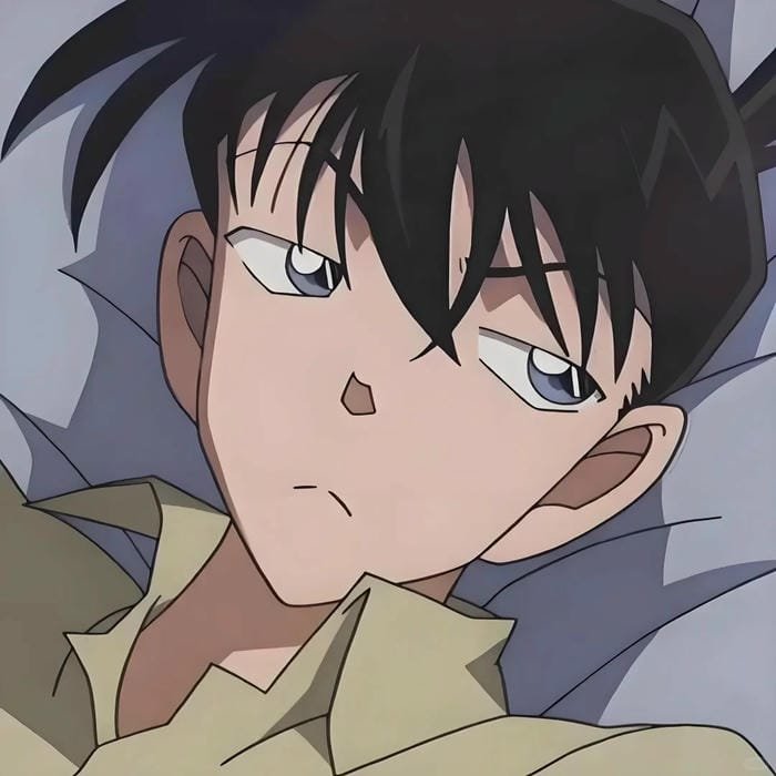 kudo shinichi (17)