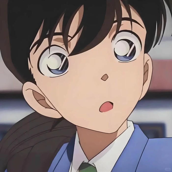 kudo shinichi (18)