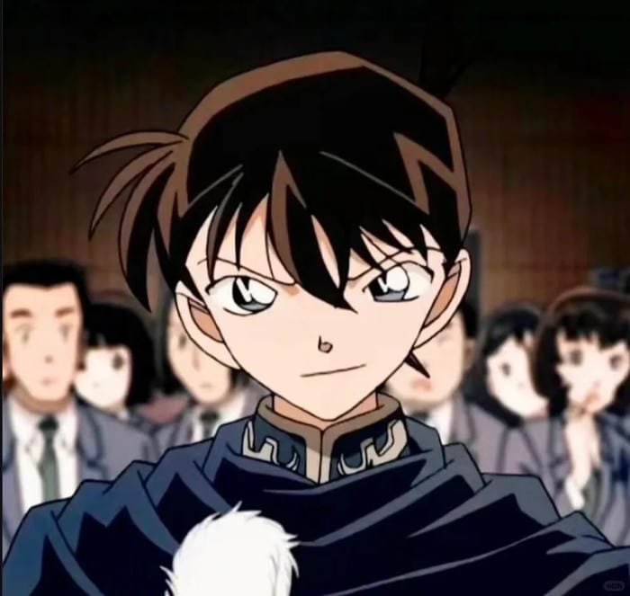 kudo shinichi (26)