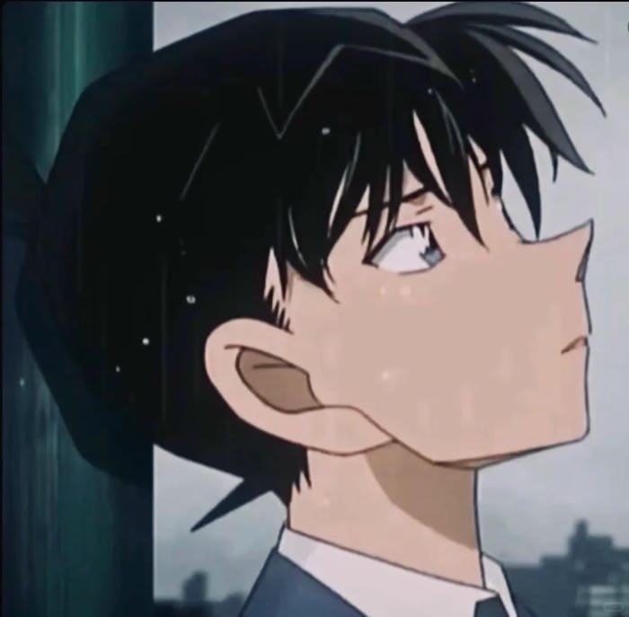 kudo shinichi (28)