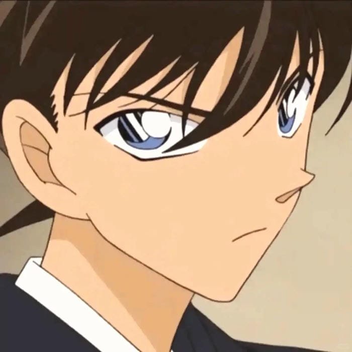 kudo shinichi (8)