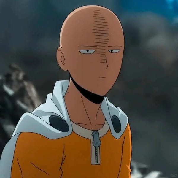 saitama (13)