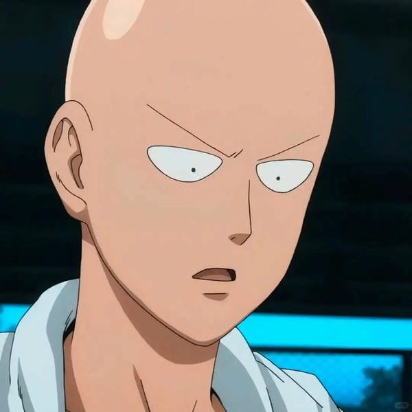 saitama (15)