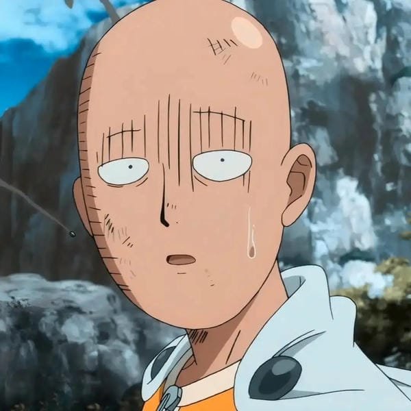 saitama (19)