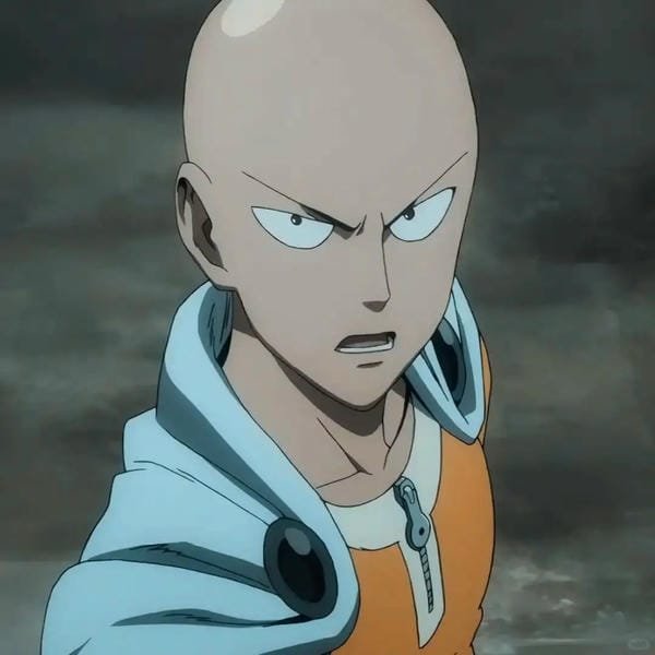 saitama (21)
