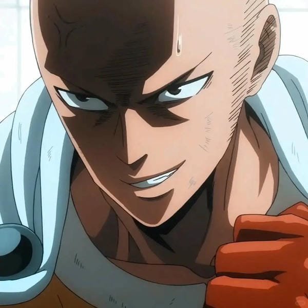saitama (23)