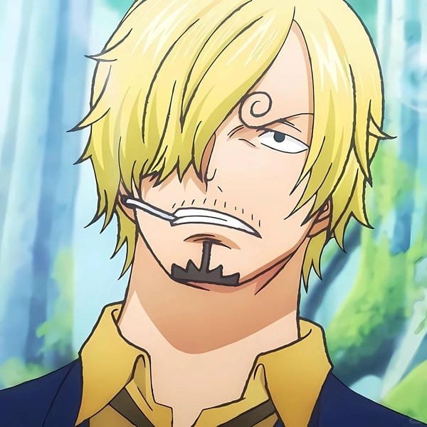 sanji (11) sanji (11)