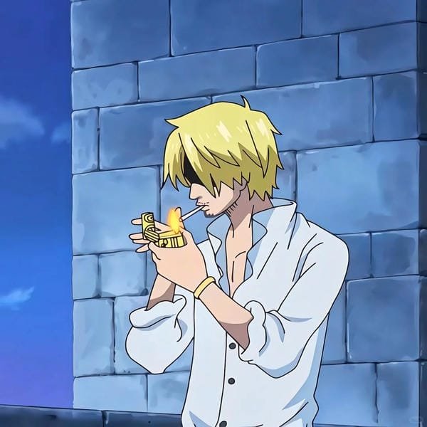 sanji (13) sanji (13)
