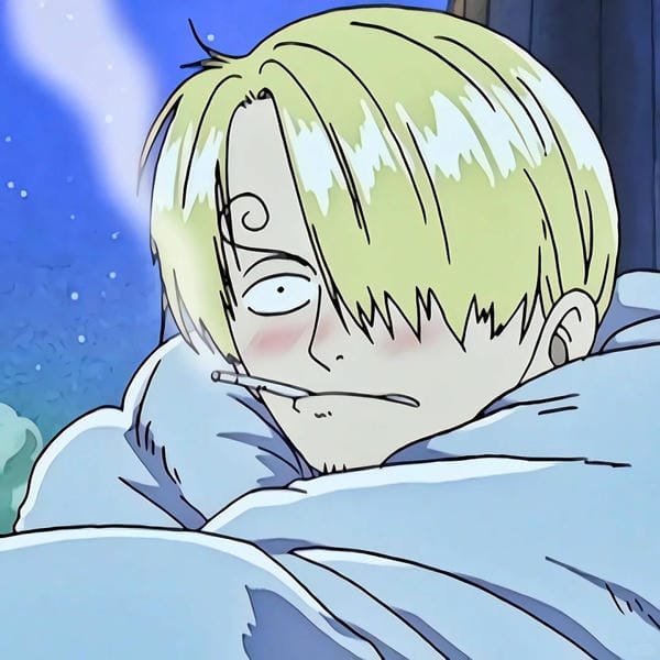 sanji (17) sanji (17)