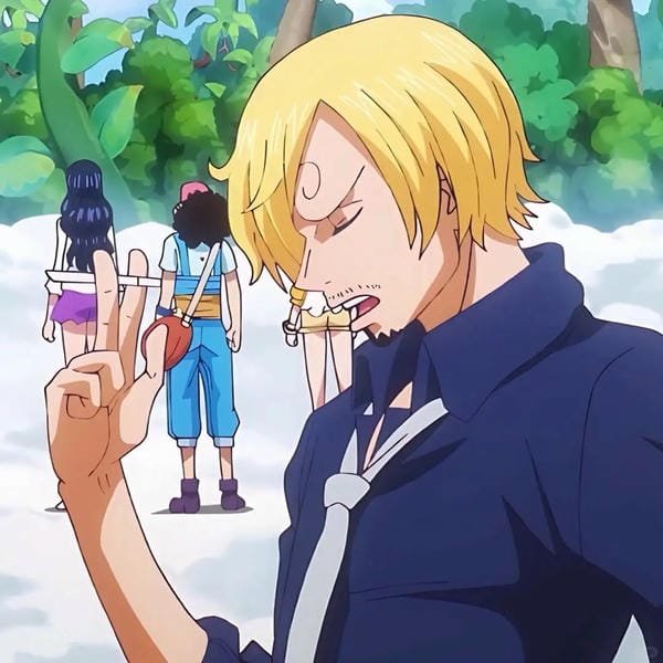 sanji (18) sanji (18)