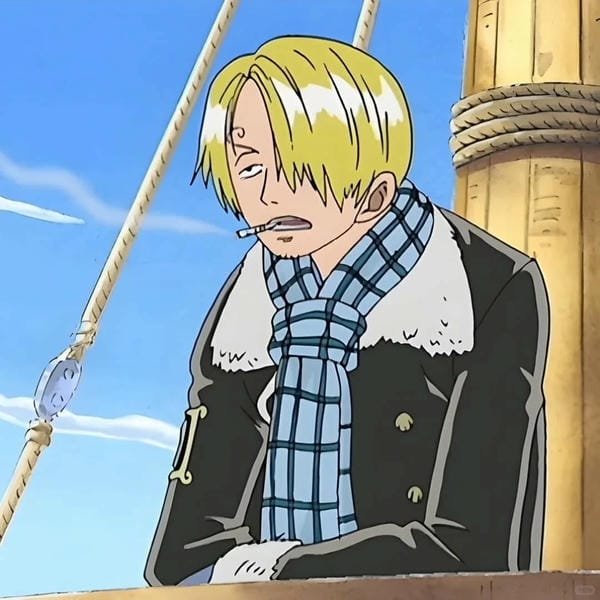 sanji (20) sanji (20)