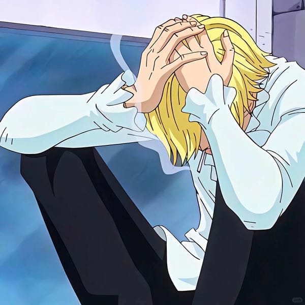 sanji (21) sanji (21)