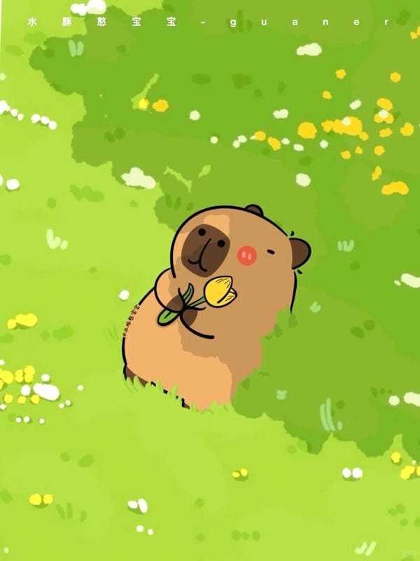 ảnh capybara anime (28) ảnh capybara anime (28)