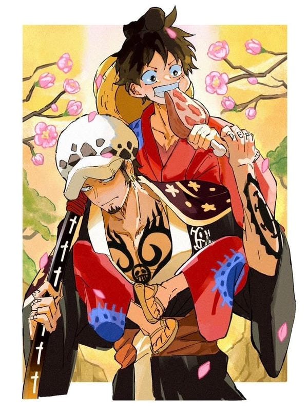law x luffy (11) law x luffy (11)