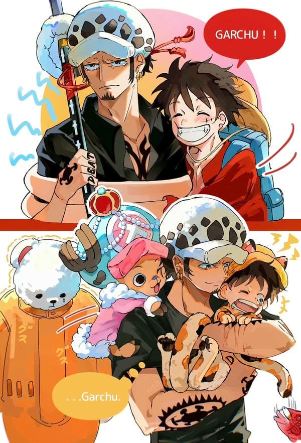 law x luffy (13) law x luffy (13)