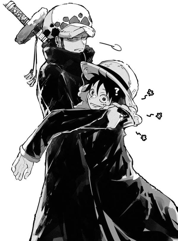 law x luffy (19) law x luffy (19)