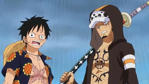 law x luffy (26) law x luffy (26)