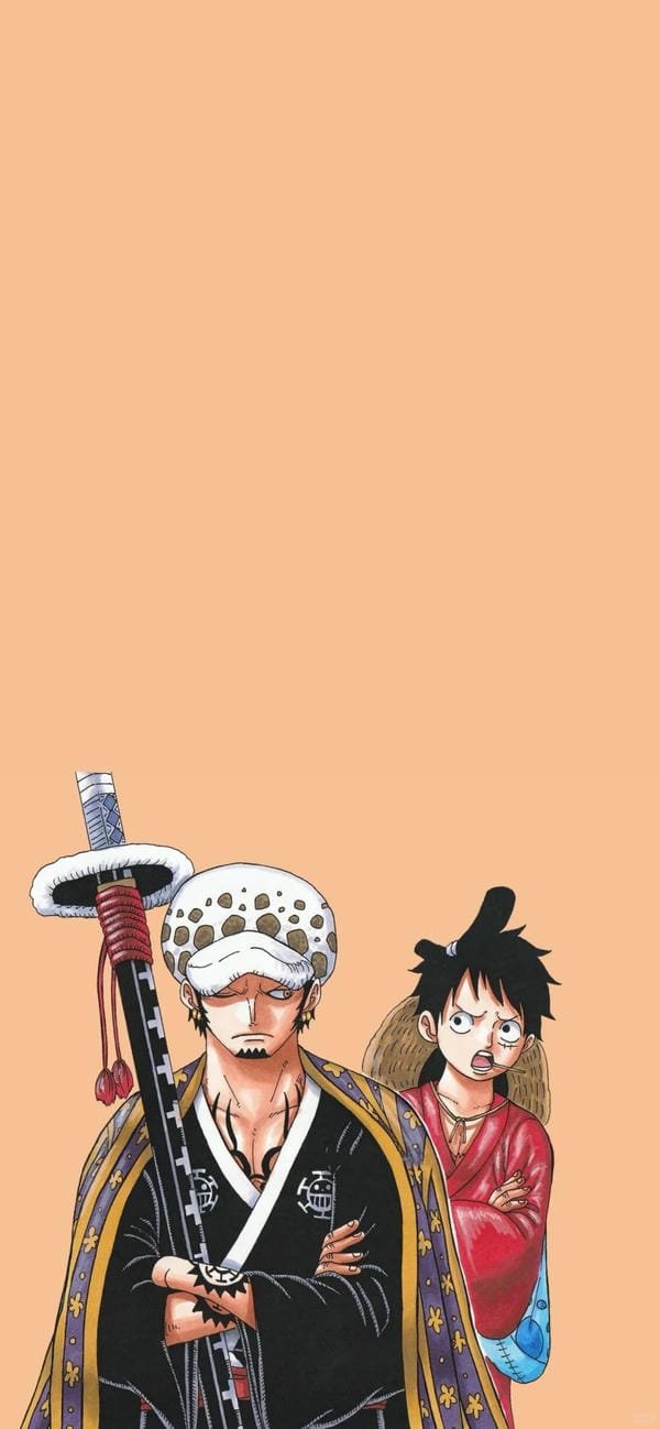 law x luffy (9) law x luffy (9)