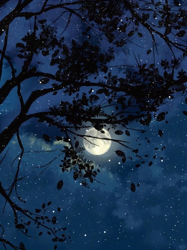 phong cảnh anime đêm (27)