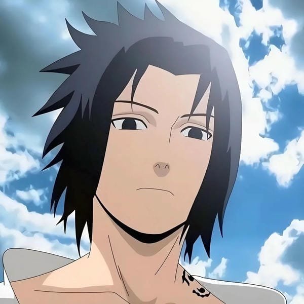 sasuke (17) sasuke (17)
