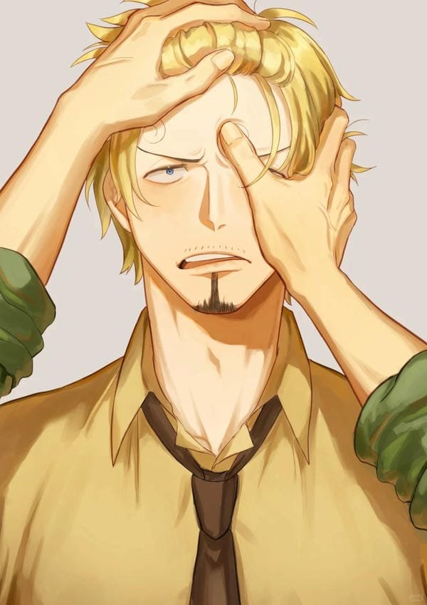 zoro x sanji (15) zoro x sanji (15)