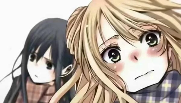 citrus anime (23) citrus anime (23)