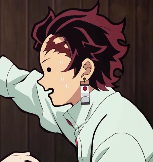 tanjiro x kanao (20)